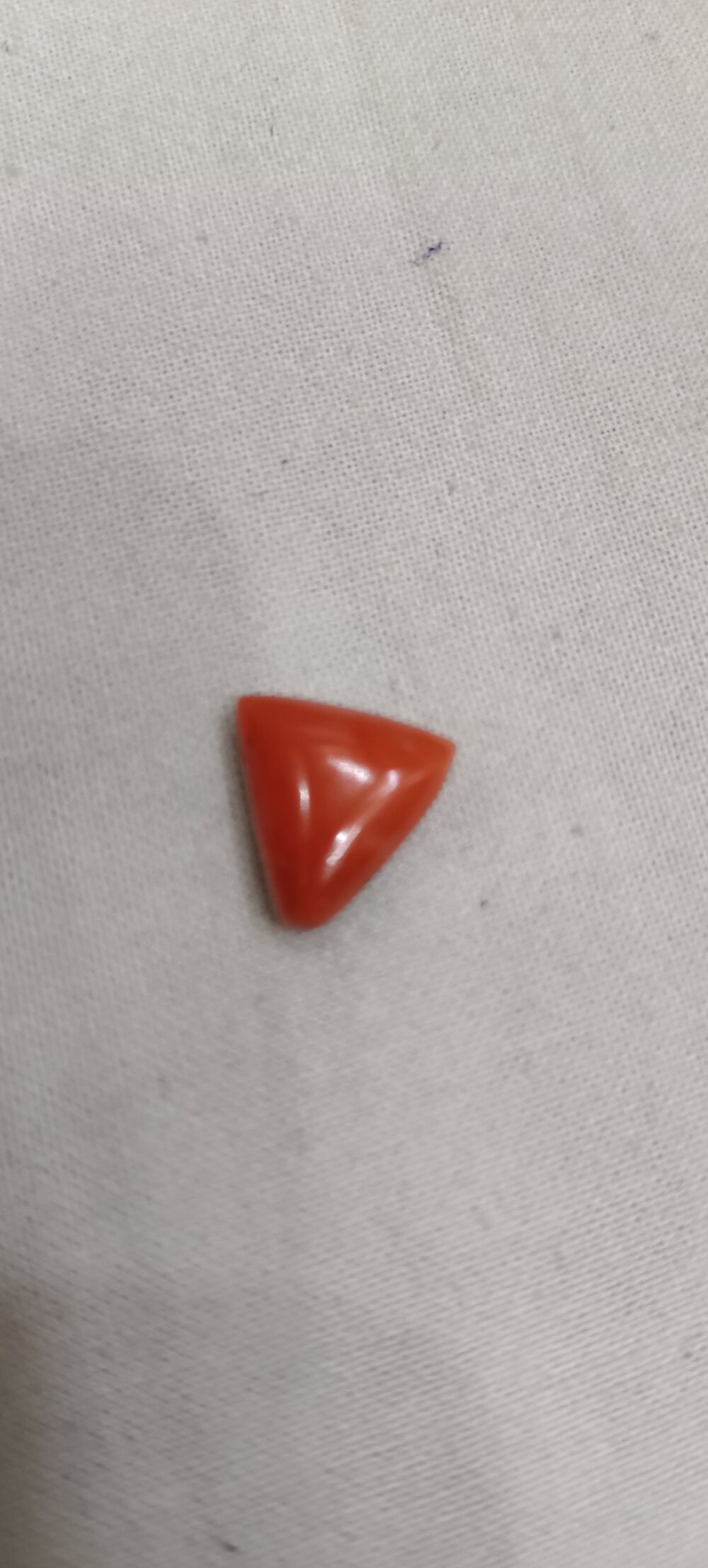 red coral munga - Image 4