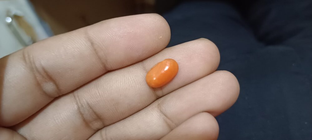 red coral munga